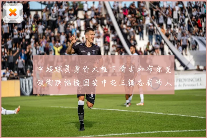 中超球员身价大幅下滑古加布尔克领衔跌幅榜国安申花三镇各有两人上榜