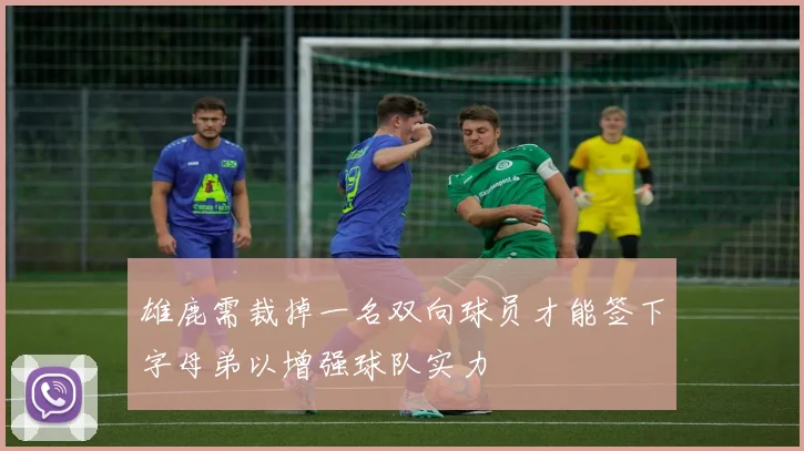 雄鹿需裁掉一名双向球员才能签下字母弟以增强球队实力