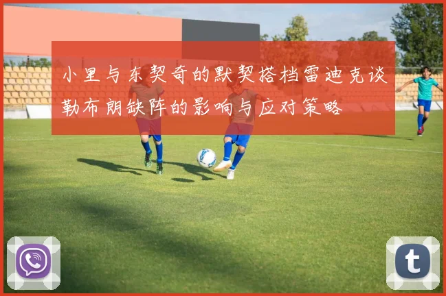 小里与东契奇的默契搭档雷迪克谈勒布朗缺阵的影响与应对策略